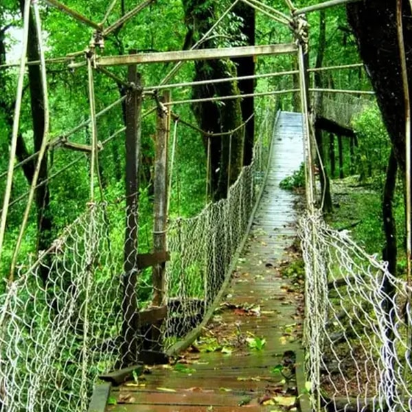 DARJEELING & KALIMPONG TOUR.jpg
